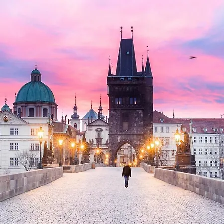 Magnificent King * Prague